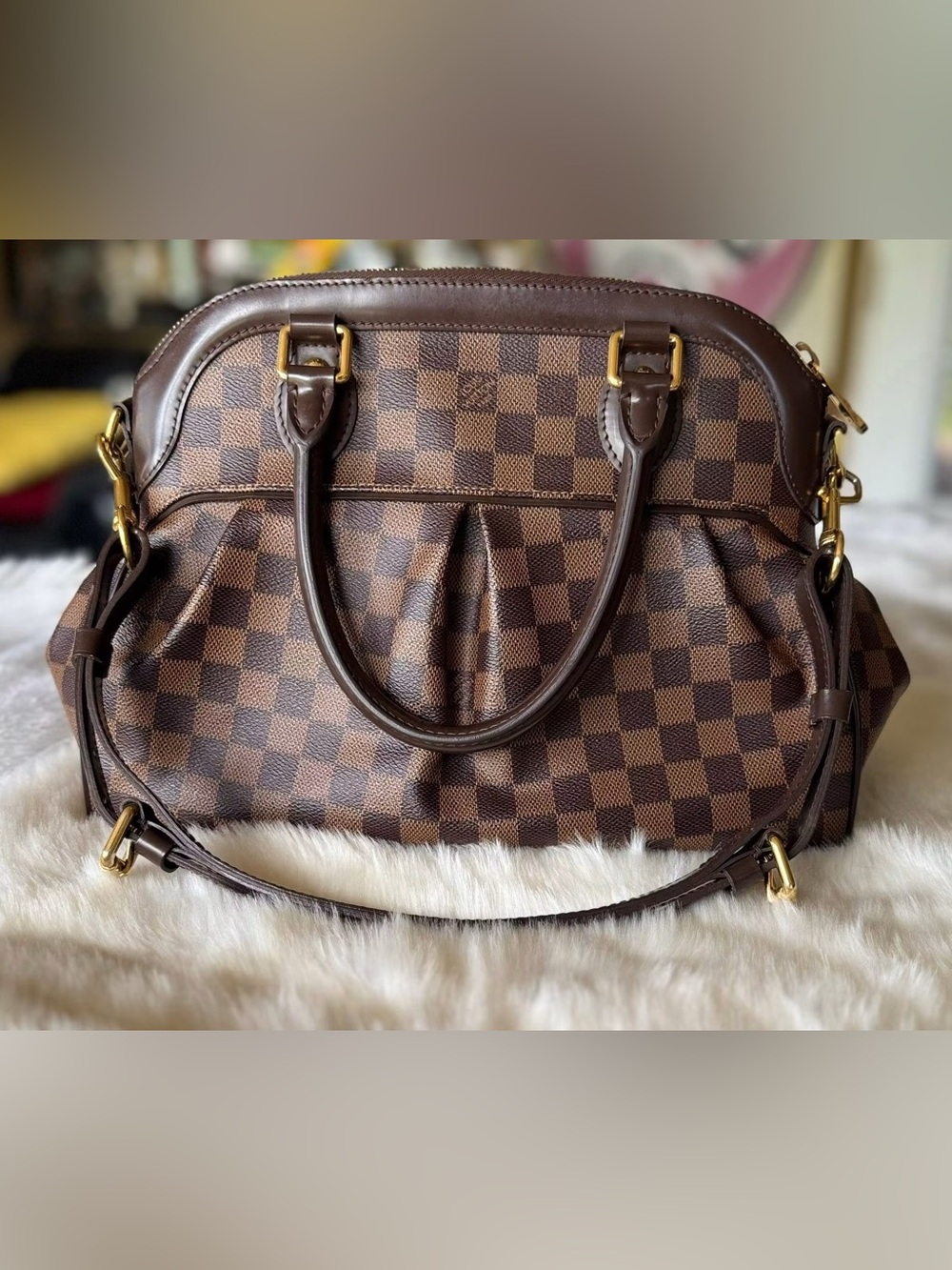 Louis Vuitton Trevi PM Damier Ebene